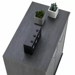 CARO-Möbel Schuhschrank LENNIS 2 Türen In Esche Grau 13 CARO-Möbel Schuhschrank LENNIS 2 Türen In Esche Grau -Möbelgeschäft 95449 4