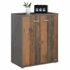 CARO-Möbel Schuhschrank LENNIS 2 Türen In Old Style/Beton Dunkel -Möbelgeschäft 95470 0